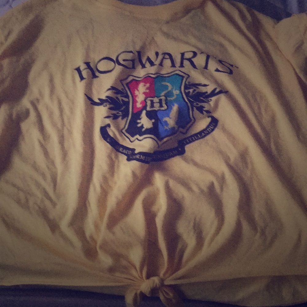 a hogwarts / Harry Potter shirt .